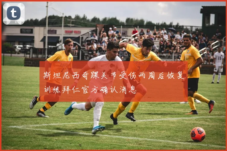 斯坦尼西奇踝关节受伤两周后恢复训练拜仁官方确认消息