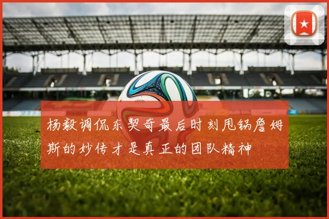 杨毅调侃东契奇最后时刻甩锅詹姆斯的妙传才是真正的团队精神
