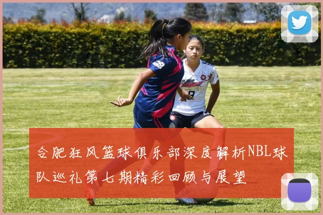 合肥狂风篮球俱乐部深度解析NBL球队巡礼第七期精彩回顾与展望