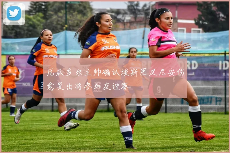 厄瓜多尔主帅确认埃斯图皮尼安伤愈复出将参加友谊赛