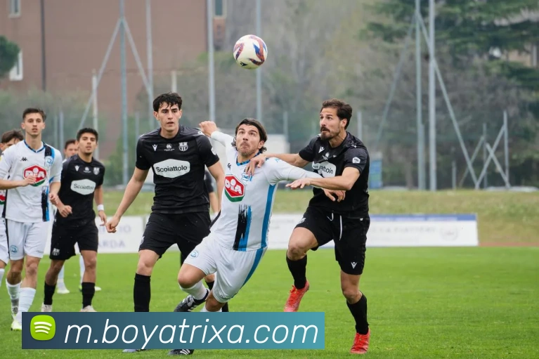 博雅体育APP 封面图